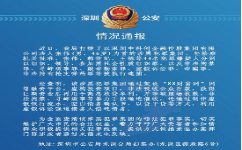 中科创实控人张伟被捕 被指涉黑、敲诈勒索非法持枪